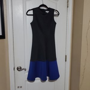 Calvin Klein color block dress